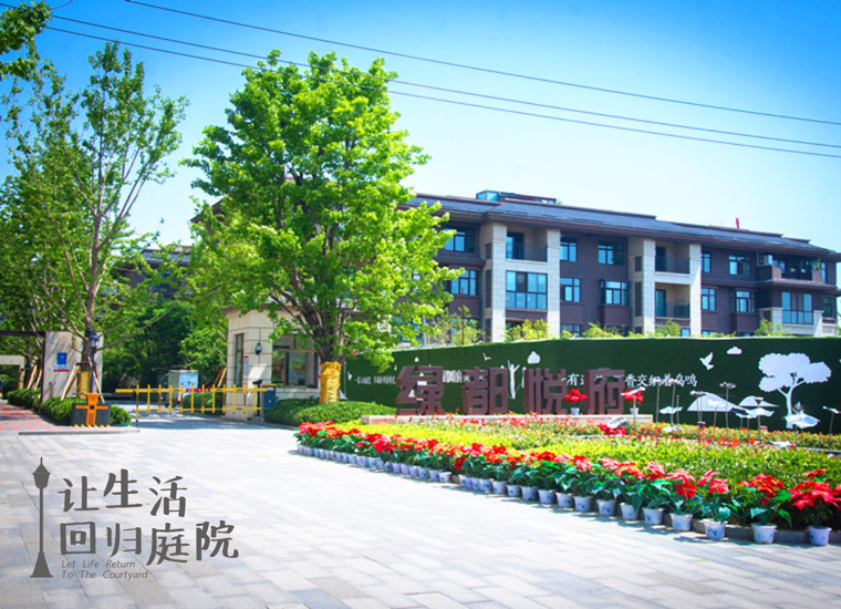前后张望南阳50年：这样的天井，，，，，，，，很难再有了！