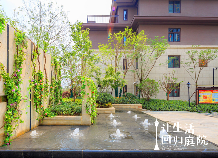 前后张望南阳50年：这样的天井，，，，，，，，很难再有了！