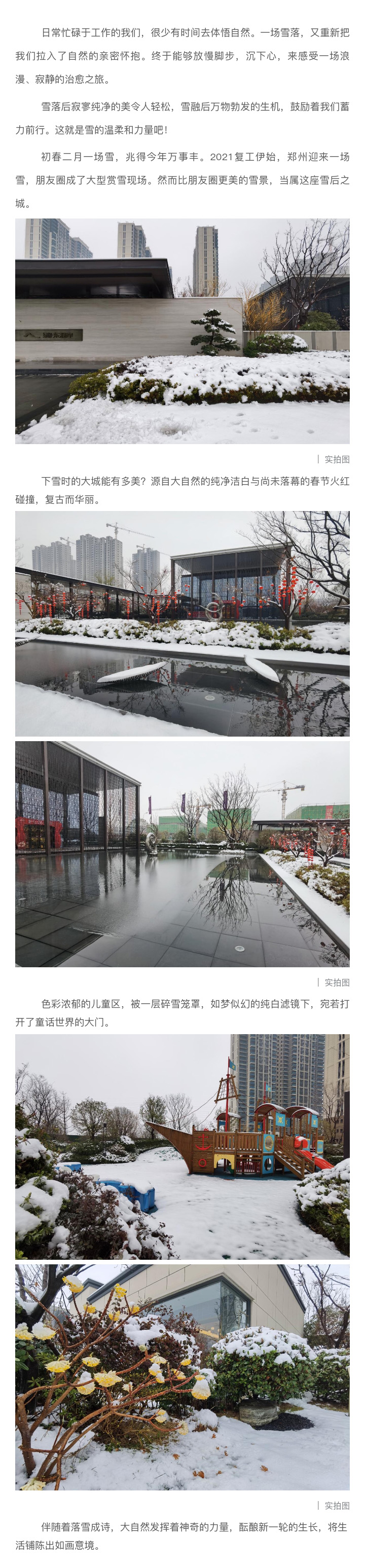 2021浪漫开年，，，，，，，共赏一场鹅毛大雪！
