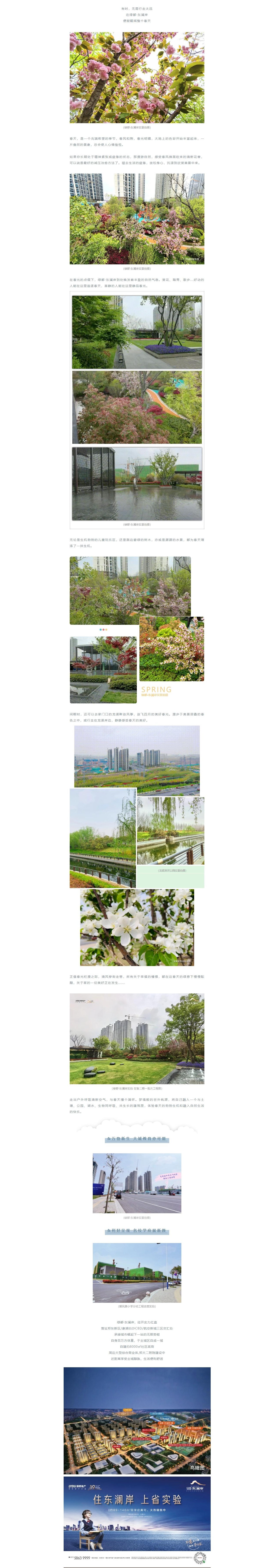 赏花踏青，，，，，来一场和春天的约会